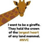 Nonviolent communication | NVC with Kali and Petya